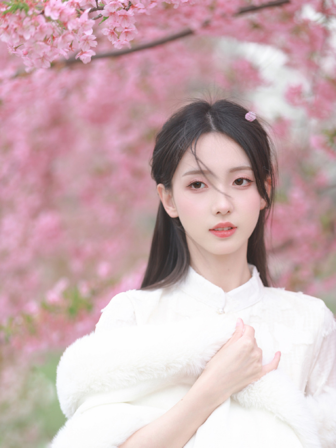 爱情万岁 封面